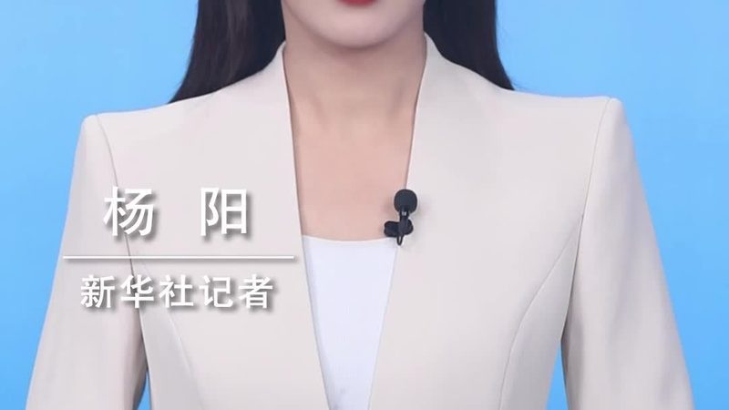 人工智能应用指南与人工智能实践：本质区别与关键考量